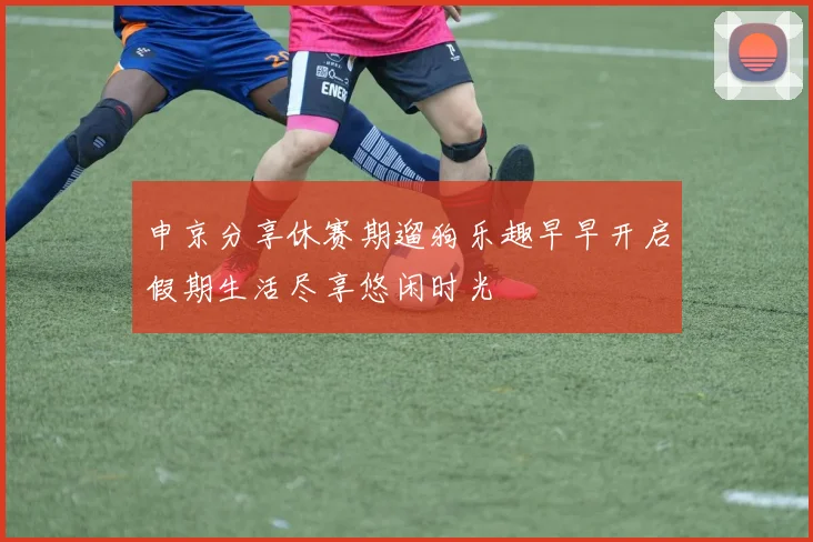 申京分享休赛期遛狗乐趣早早开启假期生活尽享悠闲时光