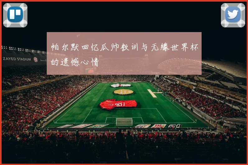 帕尔默回忆瓜帅教训与无缘世界杯的遗憾心情