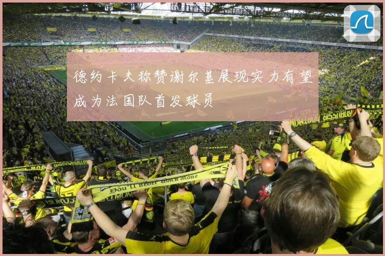 德约卡夫称赞谢尔基展现实力有望成为法国队首发球员